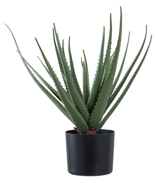 Sztuczna roślina (wysokość 51 cm) Aloe Vera – House Nordic