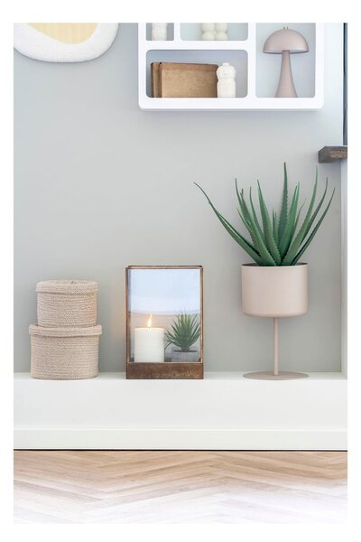 Sztuczna roślina (wysokość 51 cm) Aloe Vera – House Nordic