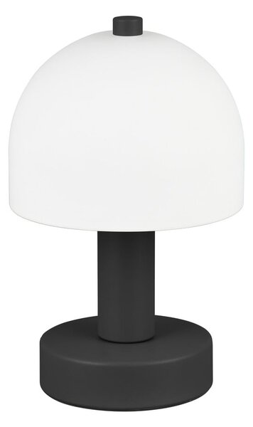 Czarno-biała lampa stołowa ze szklanym kloszem (wysokość 19 cm) Glenn – Reality