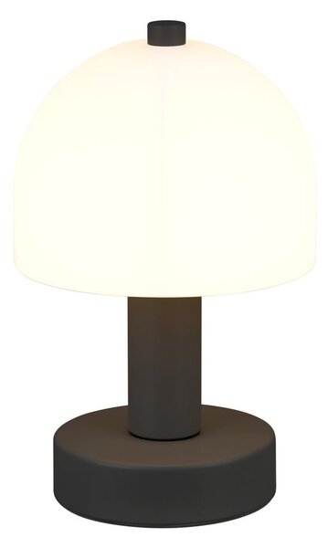 Czarno-biała lampa stołowa ze szklanym kloszem (wysokość 19 cm) Glenn – Reality