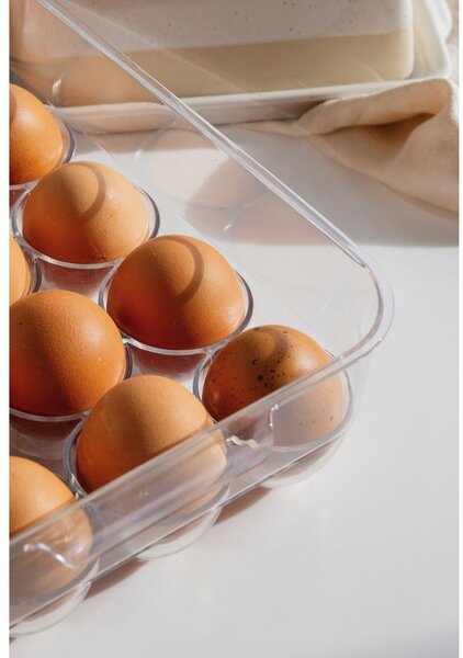 Plastikowy organizer na jajka do lodówki 23x17,5 cm – Casa De Engel