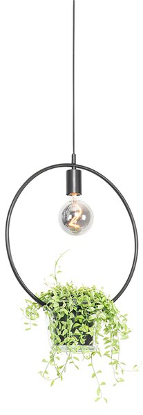 Nowoczesna lampa wisząca czarna ze szklanym okrągłym - Roslini Oswietlenie wewnetrzne