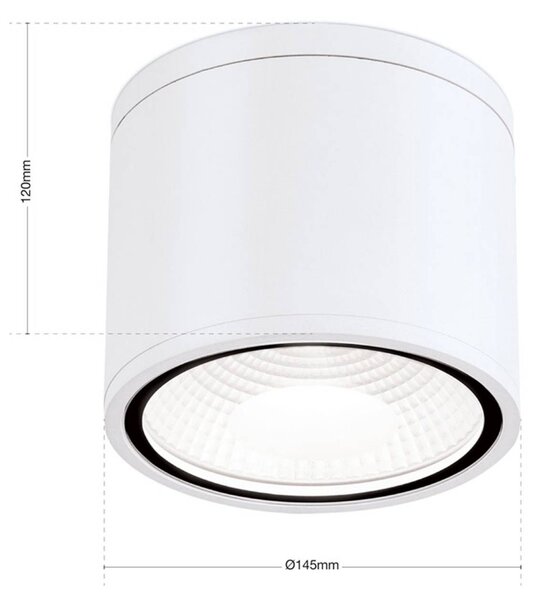 ORION Spot sufitowy LED Sputnik IP65 Ø 14,5 cm biały, biały / opal, łazienka, aluminium, nowoczesny