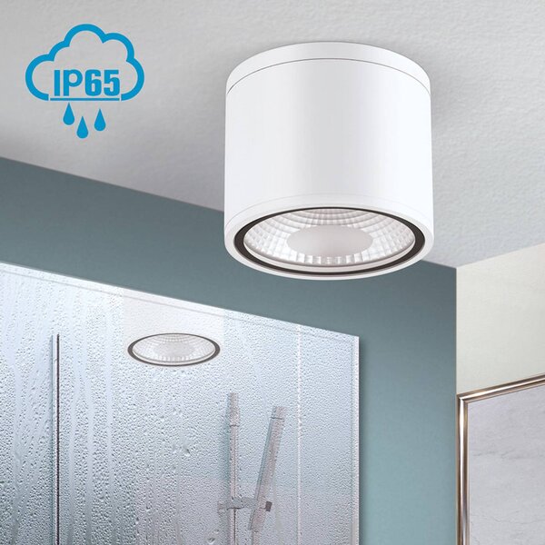 ORION Spot sufitowy LED Sputnik IP65 Ø 14,5 cm biały, biały / opal, łazienka, aluminium, nowoczesny