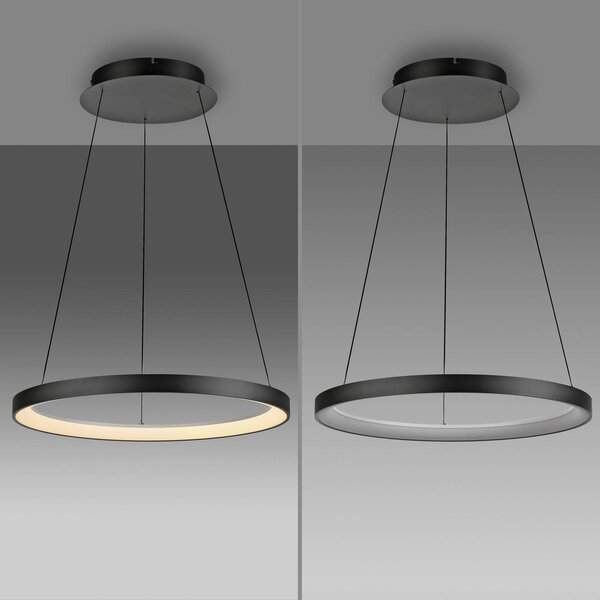 Paul Neuhaus Lampa wisząca Hoop, możliwość ściemniania, czarny, salon / jadalnia, metal, nowoczesny