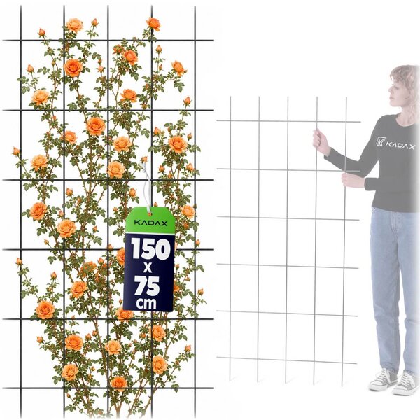 Krata ogrodowa Russi do kwiatów 75 x 150 cm, czarna