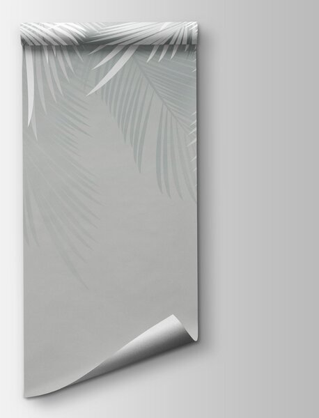 Fototapeta Wzór z białych piór na szarym tle, Fototapety Palmy, Popularne Fototapety, u60201d2 - Tapeko.pl