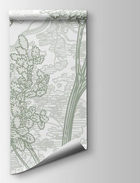 Fototapeta Grupa drzew i roślin, Fototapety Natura, Popularne Fototapety, w04851v2 - Tapeko.pl