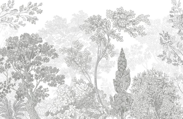 Fototapeta Grupa drzew z liśćmi, Fototapety Natura, Popularne Fototapety, w04851v3 - Tapeko.pl