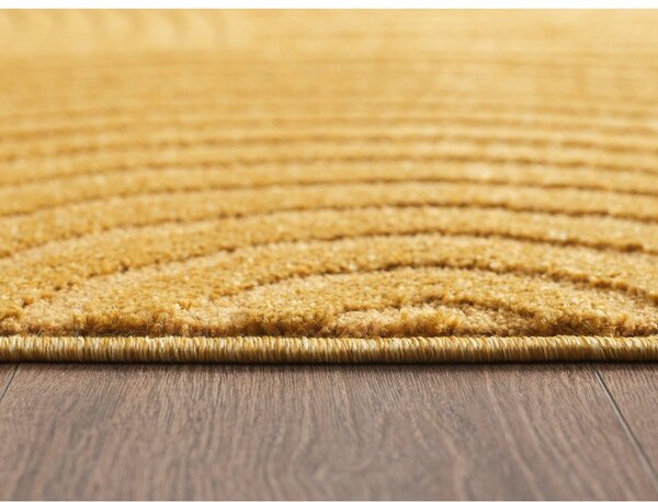 Dywan w kolorze ochry 120x170 cm Whirl – ESTE