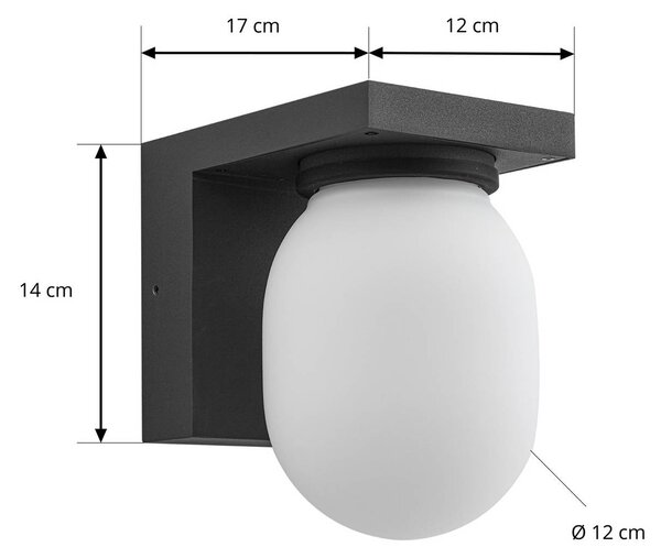 Kinkiet zewnętrzny Ovaali Lucande, możliwość ściemniania, czarny, aluminium, nowoczesny