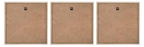 Obrazy zestaw 3 szt. 30x30 cm Pampas – Styler