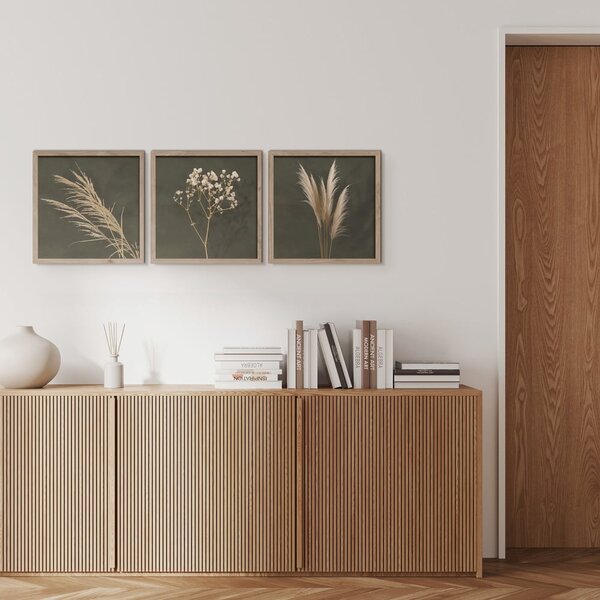Obrazy zestaw 3 szt. 30x30 cm Pampas – Styler