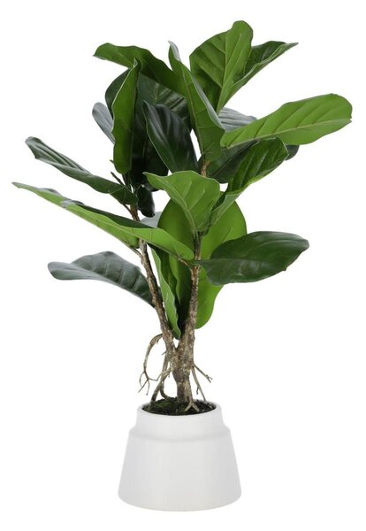 Sztuczny fikus (wysokość 60 cm) Lyrata – Kave Home