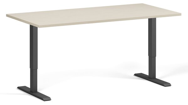 Biurko z regulacją wysokości, 160x80 cm, 1 silnik, czarna podstawa, brzoza