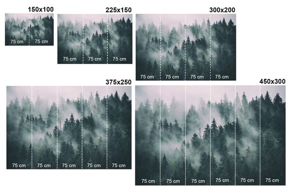 Fototapeta widok na zimowy czarno-biały krajobraz