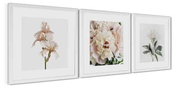 Obrazy zestaw 3 szt. drukowane z ramą w zestawie 30x30 cm Posy – Styler