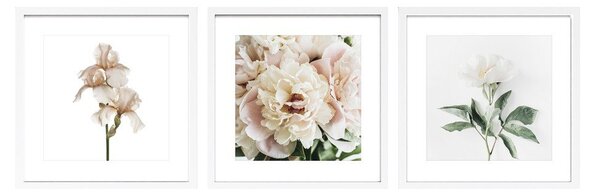 Obrazy zestaw 3 szt. drukowane z ramą w zestawie 30x30 cm Posy – Styler