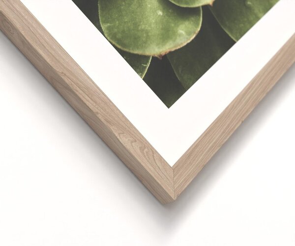 Obrazy zestaw 2 szt. drukowane z ramą w zestawie 30x40 cm Beauty Green – Styler