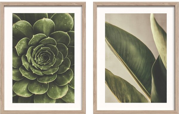 Obrazy zestaw 2 szt. drukowane z ramą w zestawie 30x40 cm Beauty Green – Styler