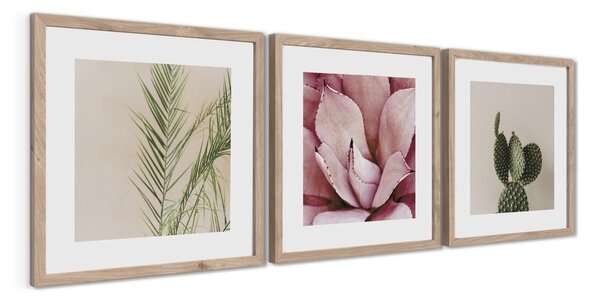 Obrazy zestaw 3 szt. drukowane z ramą w zestawie 30x30 cm Fresh – Styler