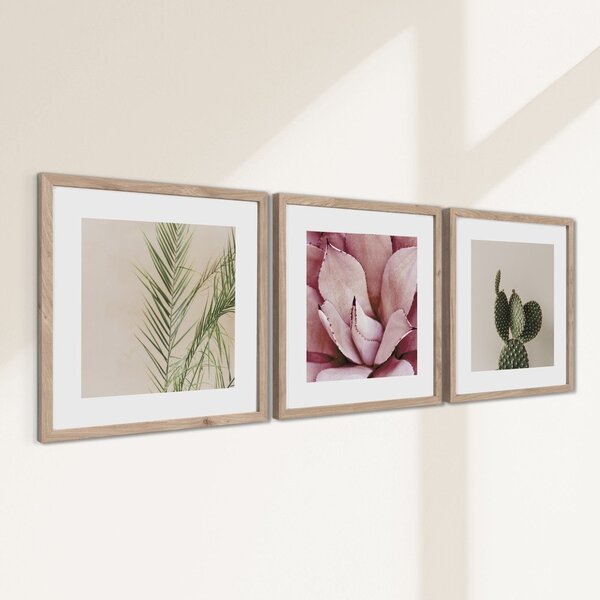 Obrazy zestaw 3 szt. drukowane z ramą w zestawie 30x30 cm Fresh – Styler