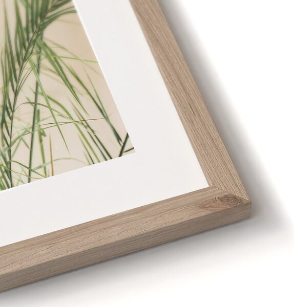 Obrazy zestaw 3 szt. drukowane z ramą w zestawie 30x30 cm Fresh – Styler