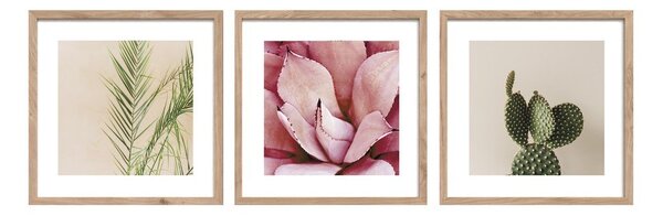 Obrazy zestaw 3 szt. drukowane z ramą w zestawie 30x30 cm Fresh – Styler