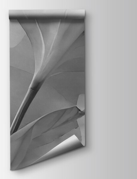 Fototapeta Spokojne liście w delikatnym świetle, Fototapety Abstrakcja, Popularne Fototapety, t00918v2 - Tapeko.pl