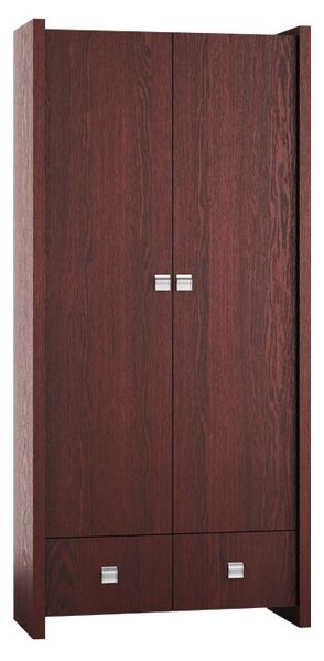 Szafa do przedpokoju, szafa na ubrania Rita 2 2D2S szerokość 91 cm