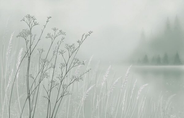Fototapety Cienkie łodygi trawy na rozmyłym naturalnym tle, Fototapety Natura, w05534v1 : Uwalls.pl