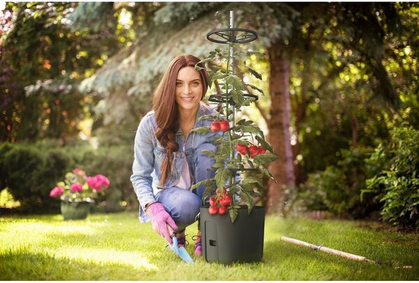 Gardenico Pojemnik do uprawy pomidorów antracyt, śr. 29 cm, S
