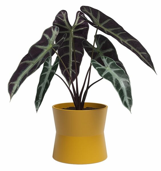 Ceramiczna doniczka ø 14 cm Diana – Artevasi