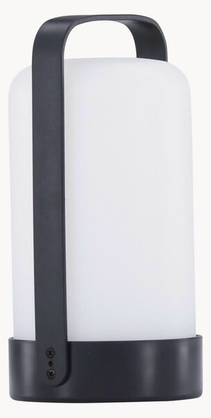 Solarna lampa stołowa LED Fern