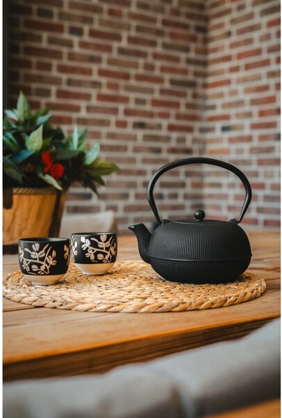 Czarny porcelanowo-żeliwny serwis do herbaty Sichuan – Bredemeijer