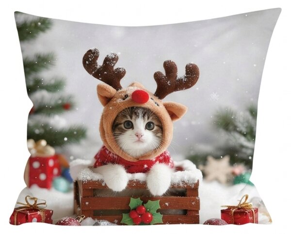 3D Poszewka na poduszkę z mikrofibry RUDOLPH KITTEN 45x45 cm, kolorowy