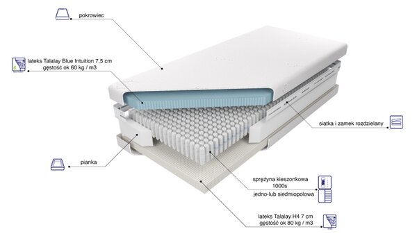 Materac Venus Talalay Blue X7 M&K Foam Koło 80x200