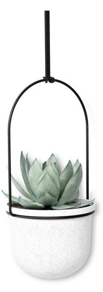 Plastikowe osłonki na doniczki zestaw 5 szt. ø 7,5 cm Triflora – Umbra