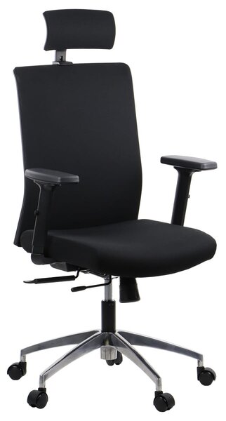 Fotel ergonomiczny RIVERTON F/H/AL