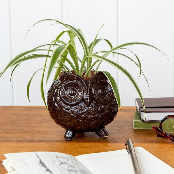 Ceramiczna osłonka na doniczkę ø 11 cm Owl – Rex London