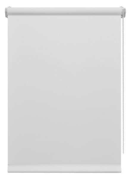 Biała roleta 42,5x150 cm Mini Relax – Gardinia