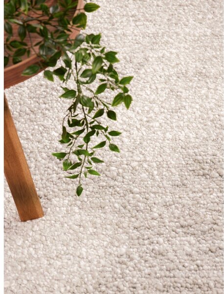 Dywan z materiału bouclé tkany ręcznie w kolorze kości słoniowej 160x230 cm Notting Hill Portobello – Ted Baker