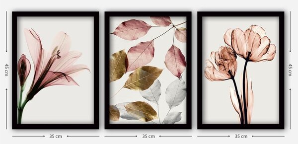 Obrazy zestaw 3 szt. 35x45 cm – Wallity