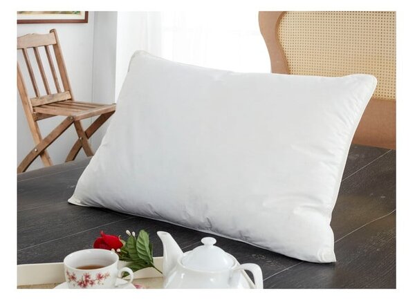 Antyalergiczny wodoodporny ochraniacz na poduszkę 2 szt. 70x50 cm Classic – Mila Home