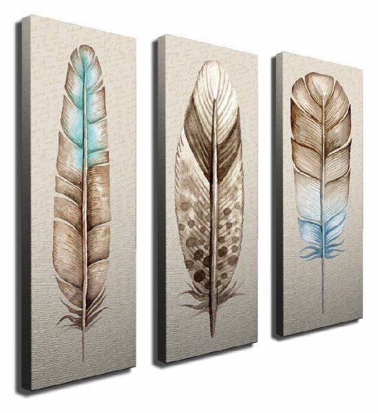 3-częściowy obraz na płótnie Feathers