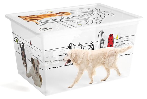 Biały plastikowy pojemnik z pokrywką 55x39x31 cm C Box Style – KIS