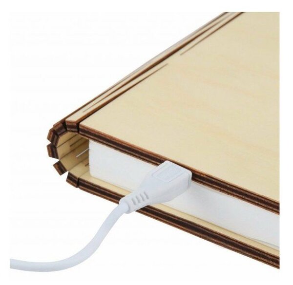 Czarna dekoracja świetlna na USB Booklight – Gingko