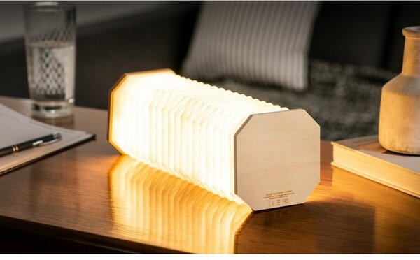 Dekoracja świetlna na USB w naturalnym kolorze Accordion – Gingko