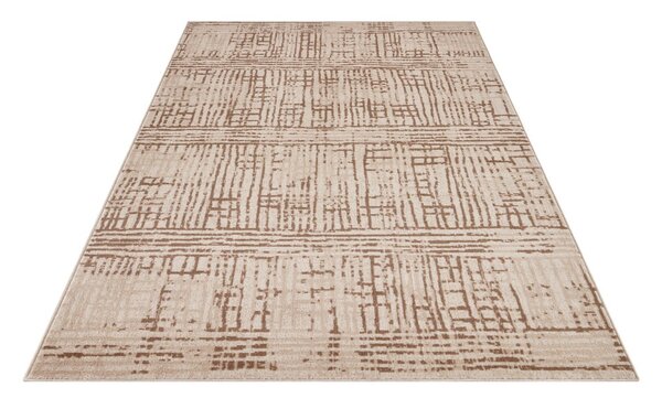 Brązowy/beżowy dywan 80x120 cm Terrain – Hanse Home
