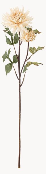 Kwiat dekoracyjny Chrysantemum